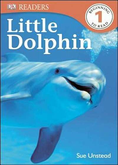 Little Dolphin, Paperback