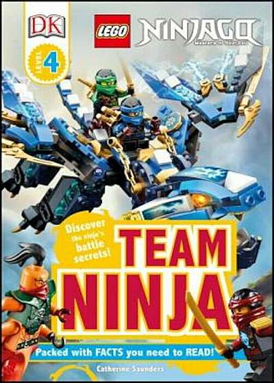 Lego Ninjago: Team Ninja, Paperback