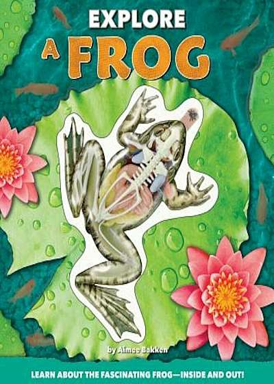Explore a Frog, Hardcover
