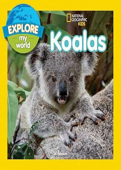Explore My World Koalas, Paperback