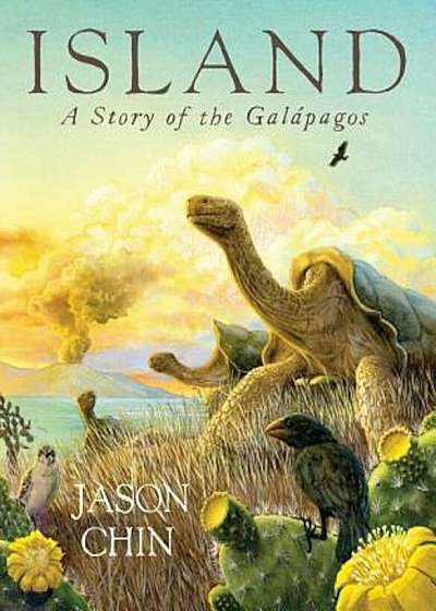 Island: A Story of the Galapagos, Hardcover