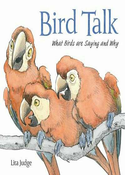 Bird Talk: What Birds Are Saying and Why, Hardcover