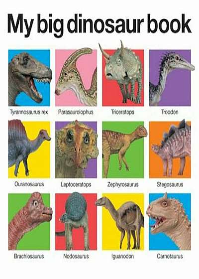 Coperta cărții My Big Dinosaur Book, Hardcover
