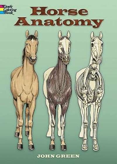 Horse Anatomy, Paperback