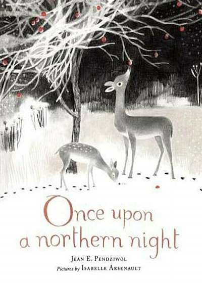 Once Upon a Northern Night, Hardcover
