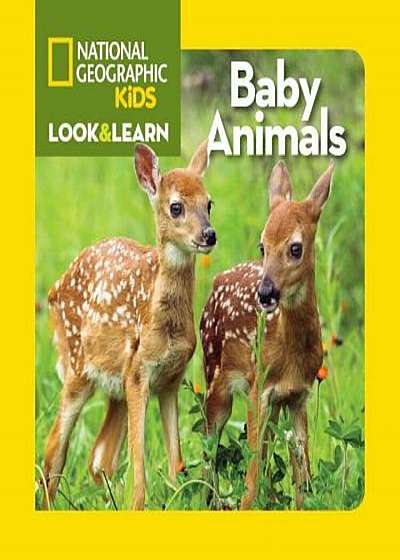 Baby Animals, Hardcover