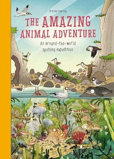 The Amazing Animal Adventure: An Around-The-World Spotting Expedition, Hardcover