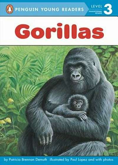 Gorillas, Paperback