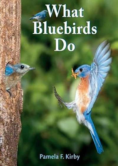 What Bluebirds Do, Paperback