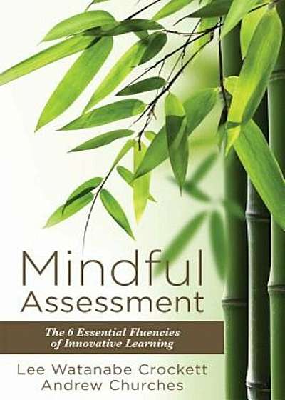 Mindful Assessment: The 6 Essential Fluencies of Innovative Learning (Teaching 21sr Century Skills to Modern Learners), Paperback