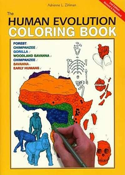 The Human Evolution Coloring Book, Paperback