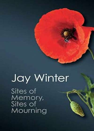 Sites of Memory, Sites of Mourning: The Great War in European Cultural History, Paperback