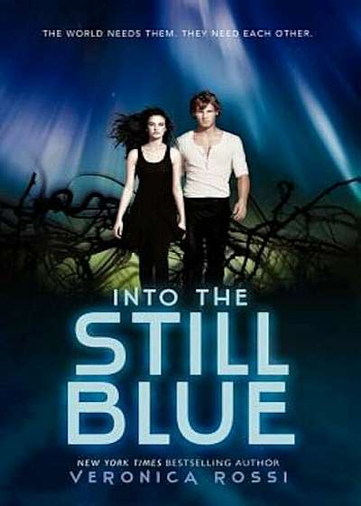 Into the Still Blue, Paperback