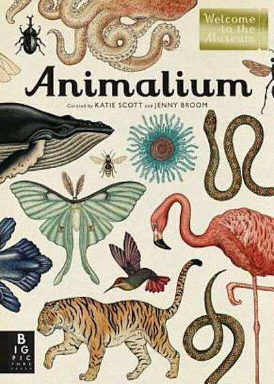 Animalium: Welcome to the Museum, Hardcover