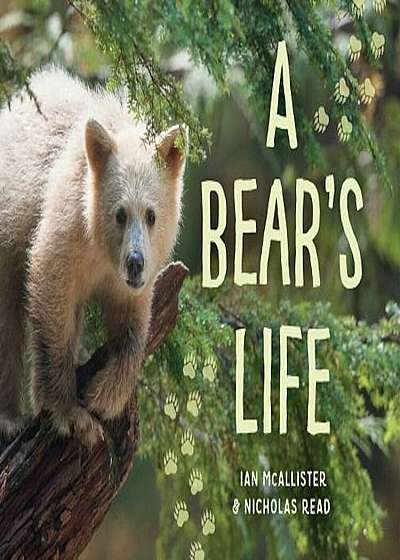 A Bear's Life, Hardcover