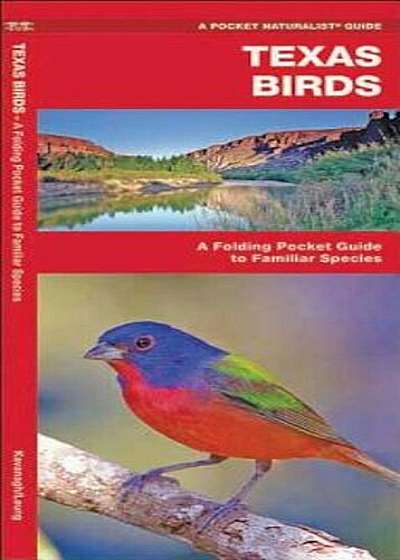 Texas Birds, Paperback