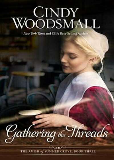 Gathering the Threads, Paperback