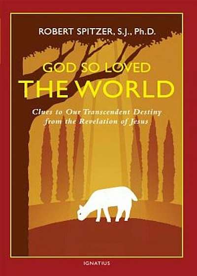God So Loved the World: Clues to Our Transcendent Destiny from the Revelation of Jesus, Paperback