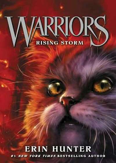 Warriors '4: Rising Storm, Paperback