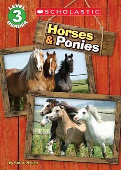 Horses and Ponies, Paperback