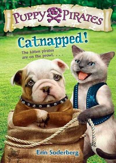 Catnapped!, Paperback
