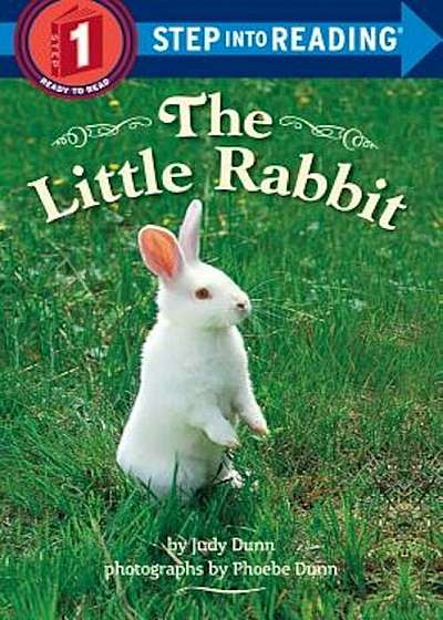 The Little Rabbit, Paperback