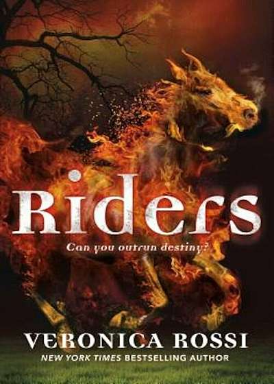 Riders, Hardcover