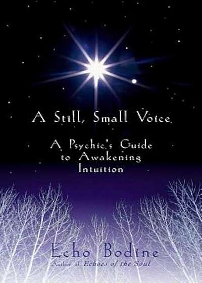 A Still, Small Voice: A Psychic's Guide to Awakening Intuition, Paperback