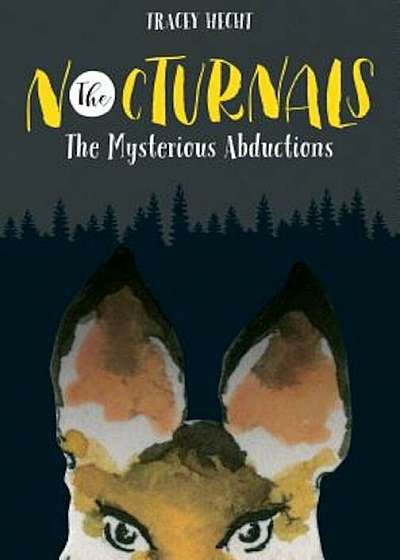 The Nocturnals: The Mysterious Abductions, Hardcover