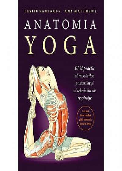 Anatomia Yoga