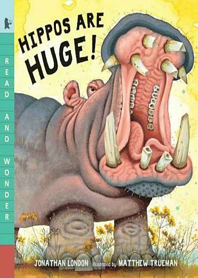 Hippos Are Huge!, Paperback