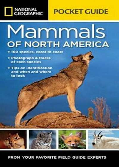 National Geographic Pocket Guide to the Mammals of North America, Paperback