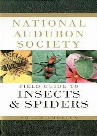 National Audubon Society Field Guide to North American Insects and Spiders, Paperback