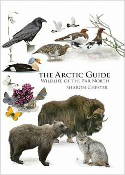 The Arctic Guide: Wildlife of the Far North, Paperback