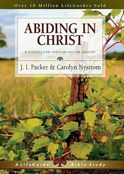 Abiding in Christ: 8 Studies for Individuals or Groups, Paperback