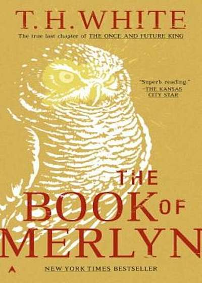 The Book of Merlyn, Paperback