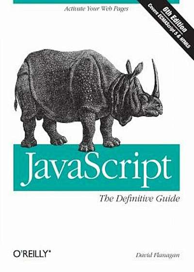 JavaScript: The Definitive Guide, Paperback