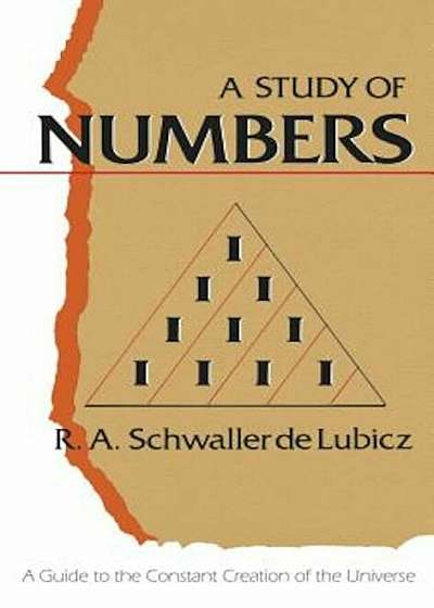 Study of Numbers, Paperback