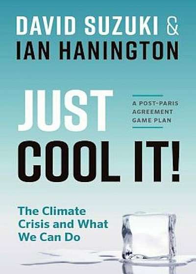 Just Cool It!: The Climate Crisis and What We Can Do - A Post-Paris Agreement Game Plan, Paperback