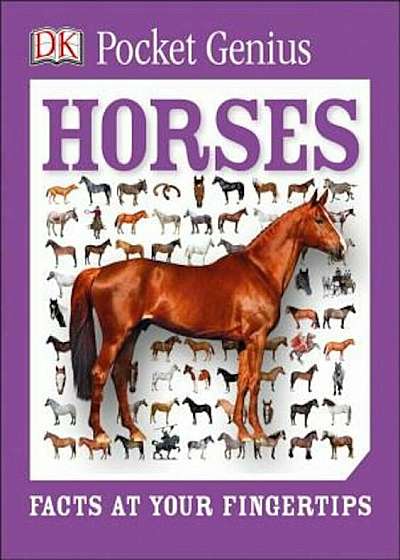 Pocket Genius: Horses, Paperback