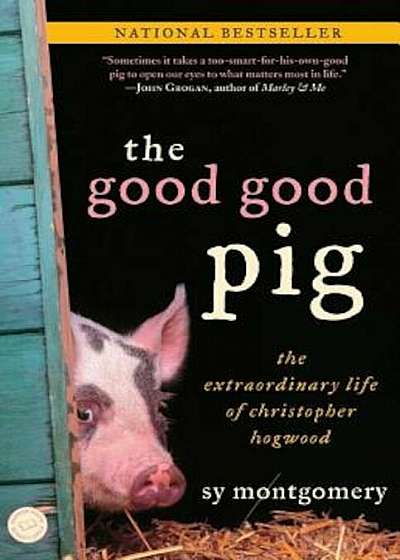 The Good Good Pig: The Extraordinary Life of Christopher Hogwood, Paperback