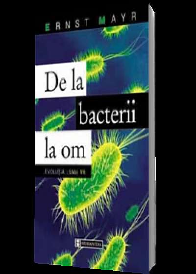 De la bacterii la om