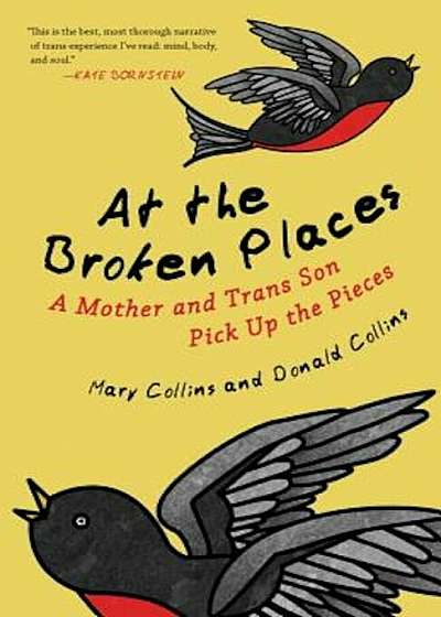 At the Broken Places: A Mother and Trans Son Pick Up the Pieces, Paperback