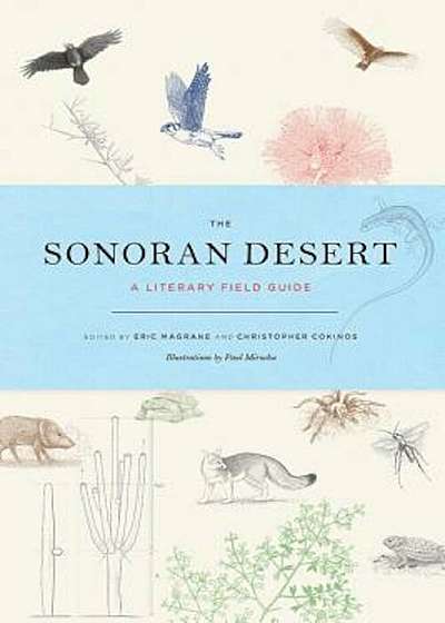 The Sonoran Desert: A Literary Field Guide, Paperback