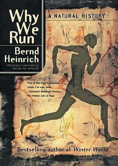 Why We Run: A Natural History, Paperback