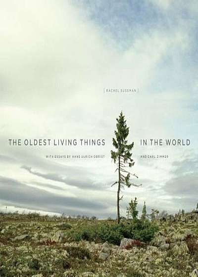 The Oldest Living Things in the World, Hardcover