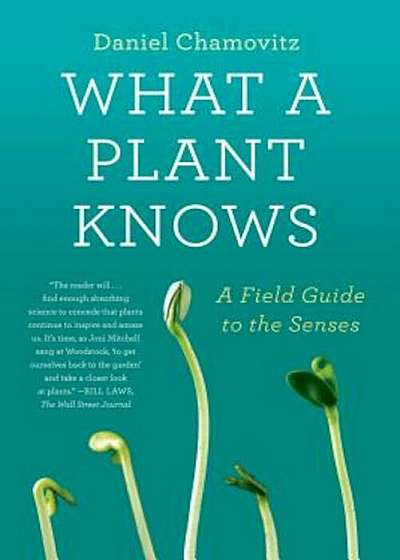 What a Plant Knows: A Field Guide to the Senses, Paperback