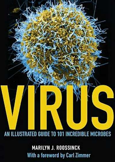 Virus: An Illustrated Guide to 101 Incredible Microbes, Hardcover