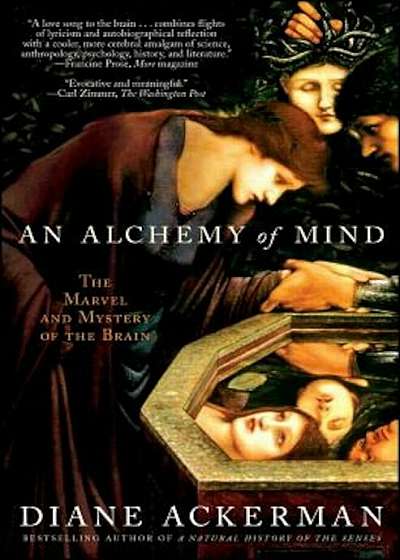 An Alchemy of Mind: The Marvel and Mystery of the Brain, Paperback