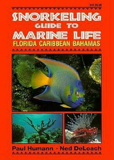 Snorkeling Guide to Marine Life Florida, Caribbean, Bahamas, Paperback